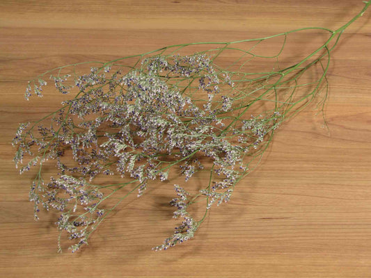 ブルーファンタジア (青)