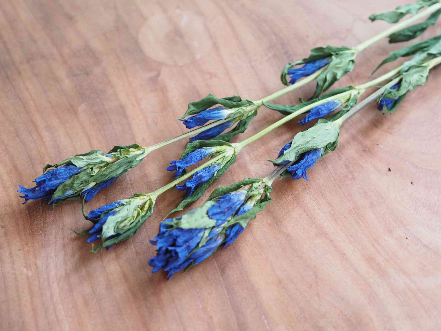 リンドウ (青) 3本入