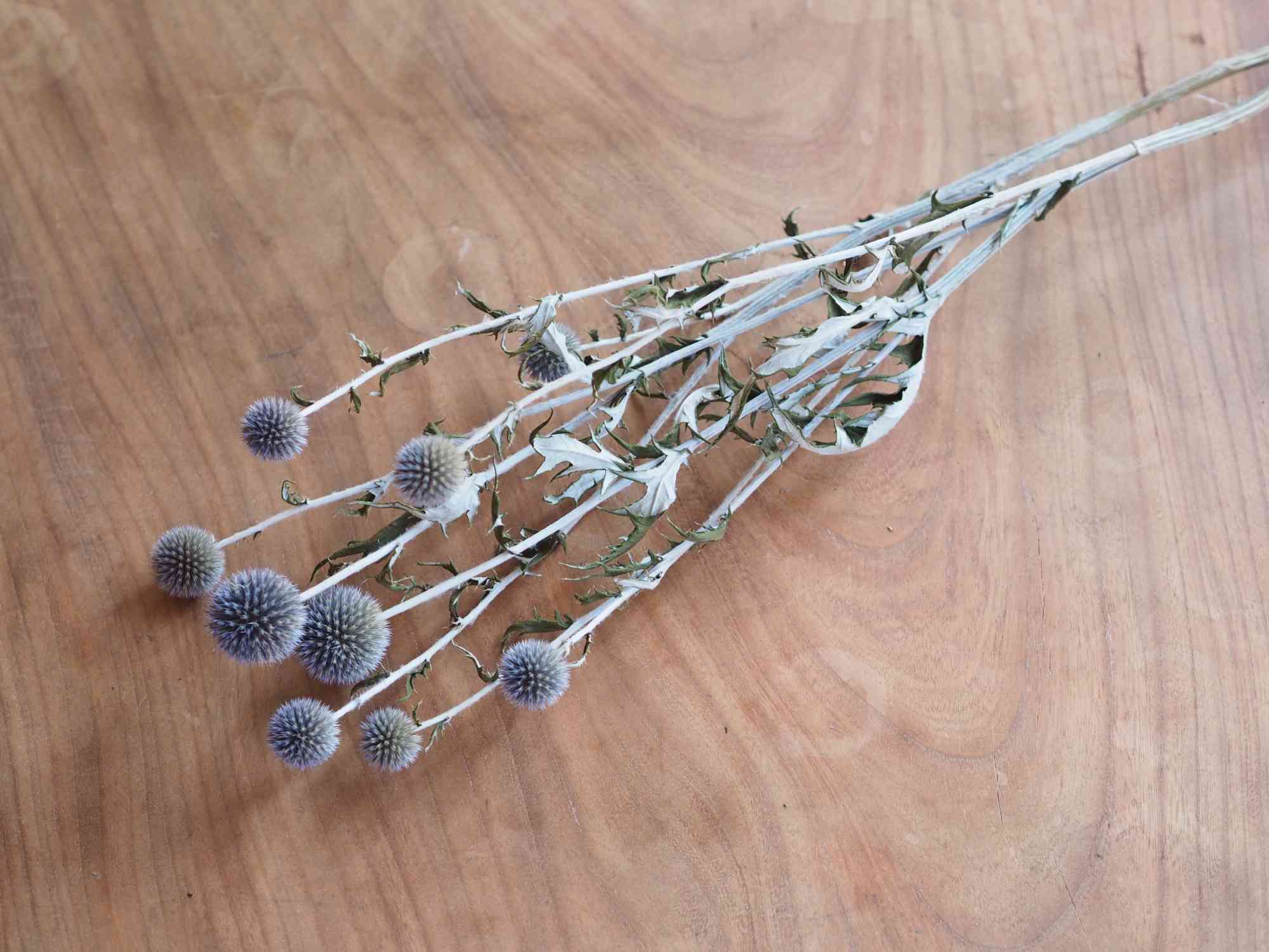 2000251801010-01.jpg?v=1650961457