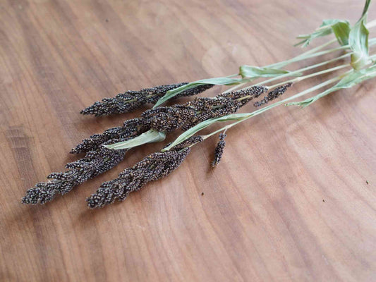 フレイクチョコラータ (濃茶)