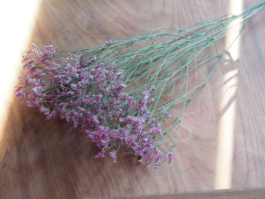 リモニューム (紫)