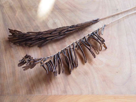 イヌガンソク (茶)