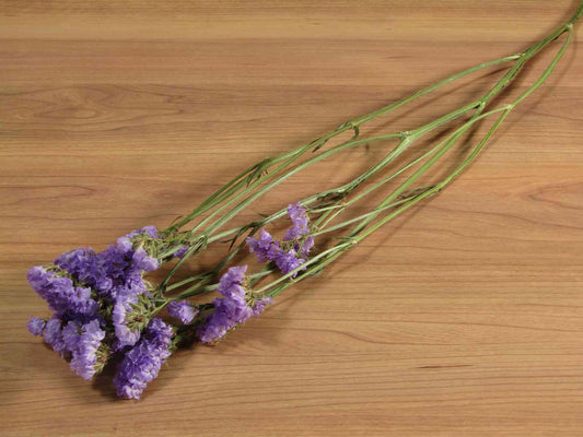 スターチス (紫) 2本入