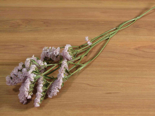 スターチス (薄ピンク) 2本入