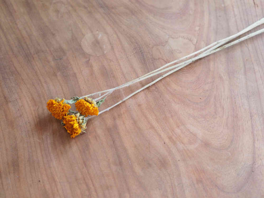 ヒマワリ (オレンジ) 2本入