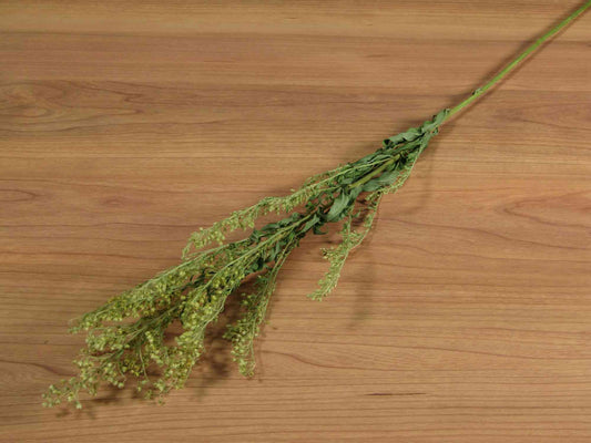 ソリダゴ 3本入