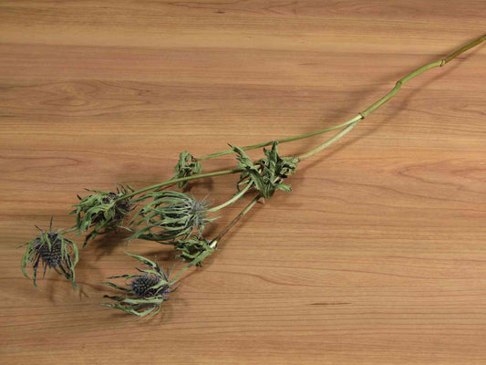 エリンジウム (濃紫) 2本入